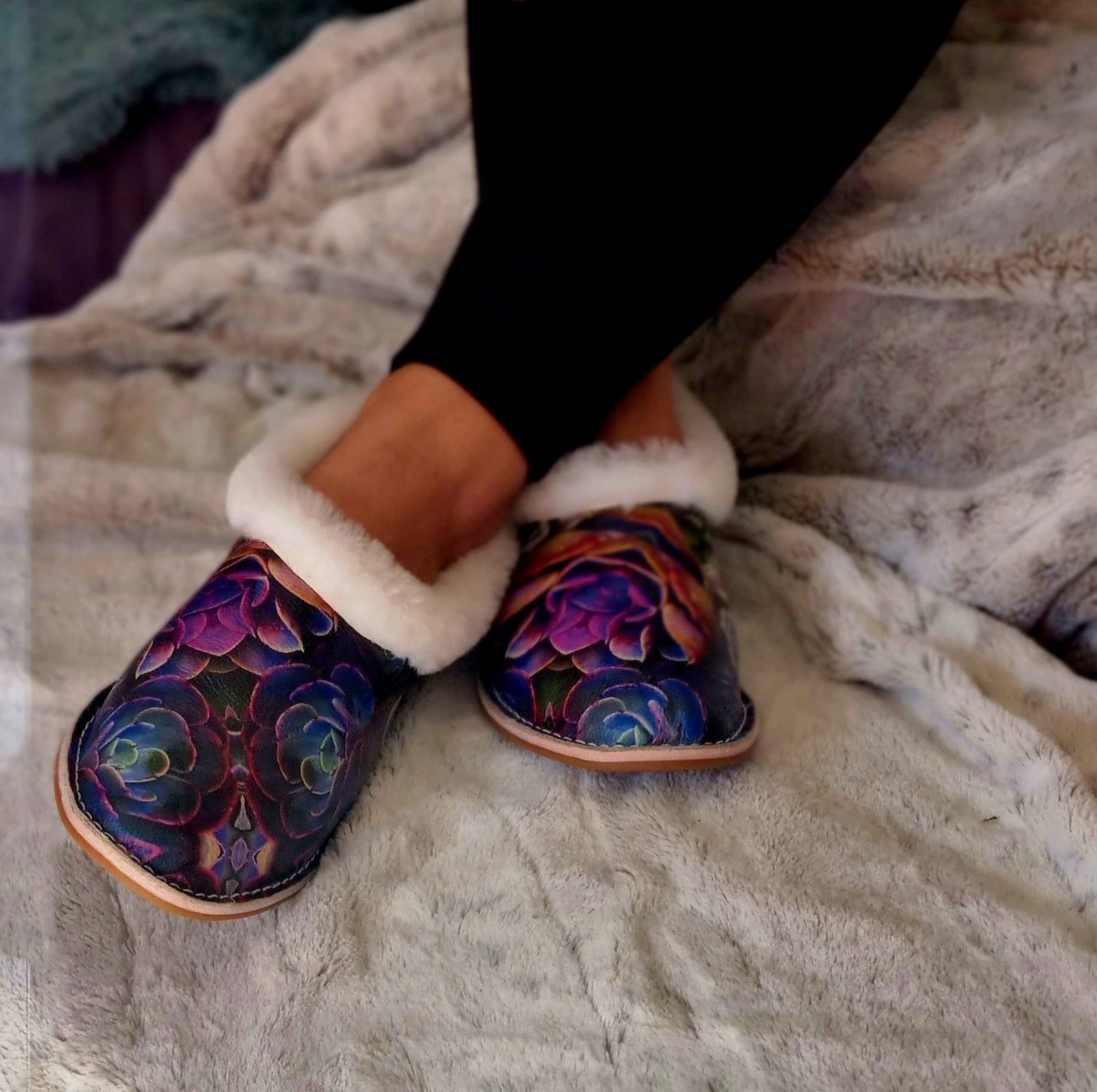Slippers Succulent