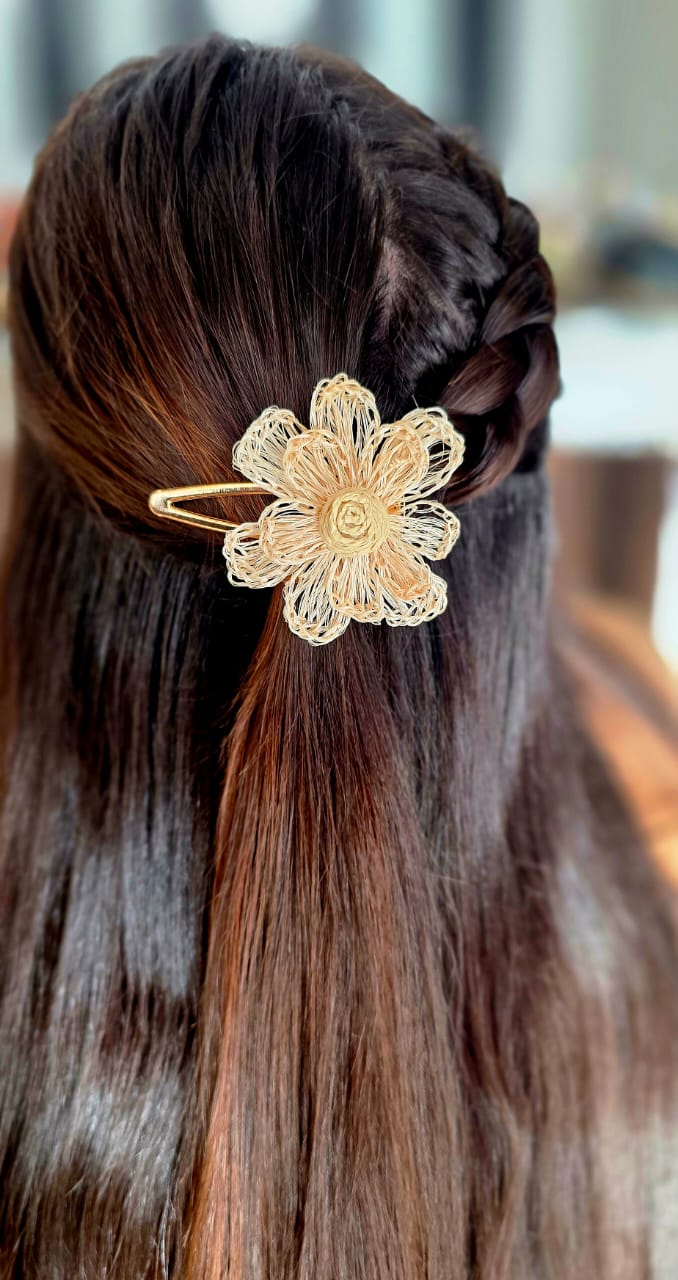 Stylish hair clips